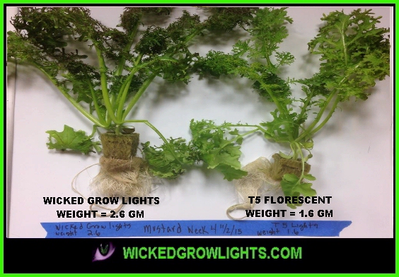 cob led grow lights hydroponic indoor growing farming gardening cannabis